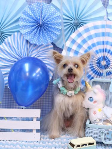 20231118ココちゃん